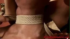 Riproduci Dominatrice milf scopata in uno stronzo veloce fuori pov