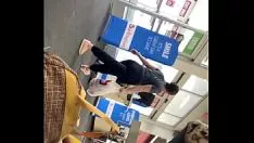 Oynat Orta latin eşek karışımı 12.