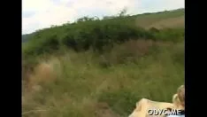 Reproduzir Saia fina derrotada e fodida