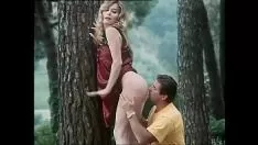 تشغيل أولدكسيفيليس 0512 02