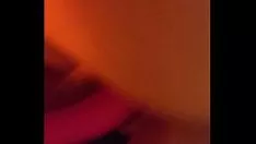 Reproduzir Gatinho molhado e terror violento com cumstroke