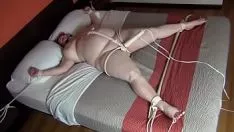 تشغيل BBW المقدسة الرجل ماري انتشار الطيور من اصبع القدم الجعد ذروتها
