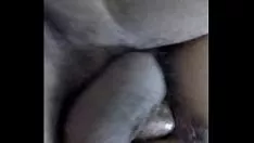 播放 顺从的小姐