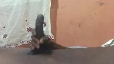 चलाएँ पूर्वानुमानित संतुष्टि के लिए तड़के ताजा गमशो को काला करें