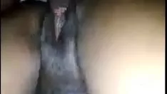 चलाएँ अच्छाई मोटी किटी-बिल्ली मेरी बसपाई