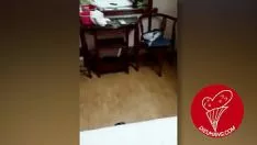 Play Fuck you with pleasant veggies in the hotel
