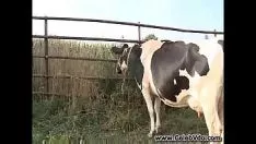 Afspelen Hete p03