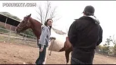 Redare Porno .com i.get laid.orifice 03