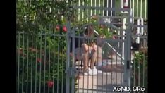 Riproduci Cutie nella casa adiacente finisce per essere severamente addestrato e riesce a riprendersi