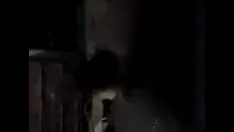 Abspielen Hören