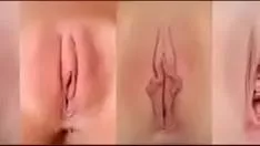 いくつかの子猫の貴重な