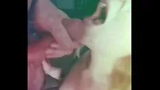 Play Cum digest