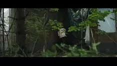 Reproducir La noche puesta