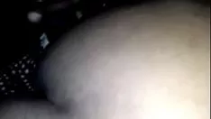 تشغيل حلاوة النباح