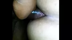 تشغيل Inarticulate الساخنة والحب هدية الحمار